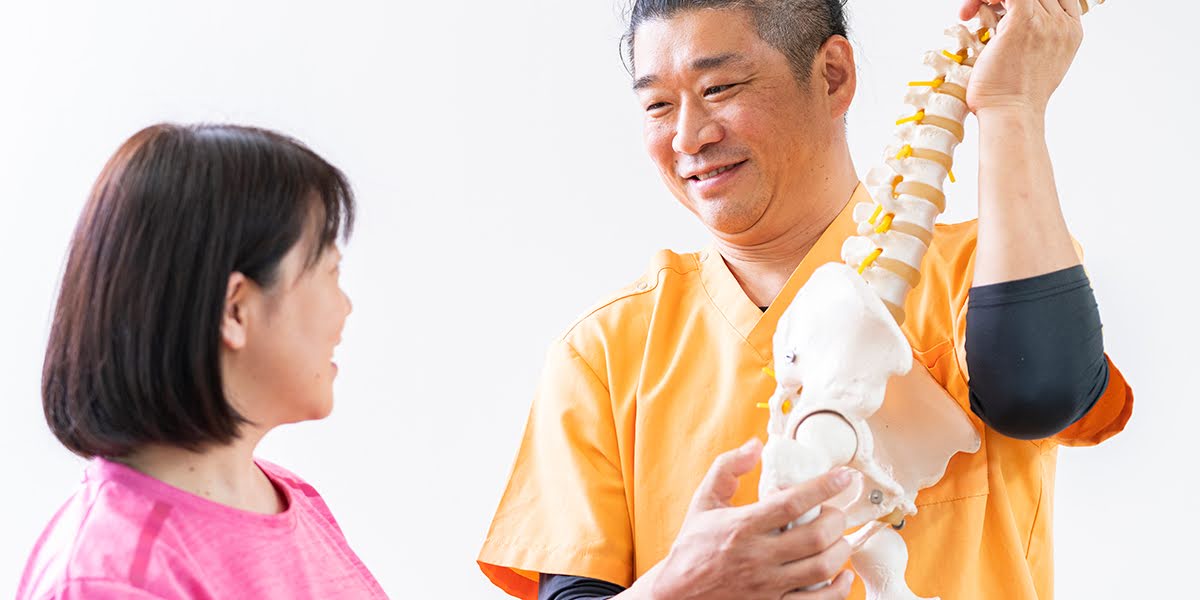 四十肩・五十肩 専門整体 骨模型説明